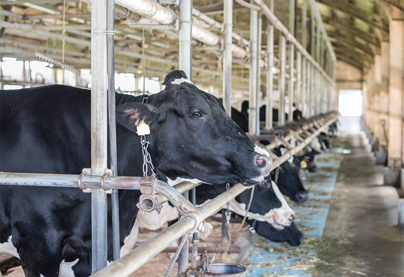 給餌、給水、飼料の様子