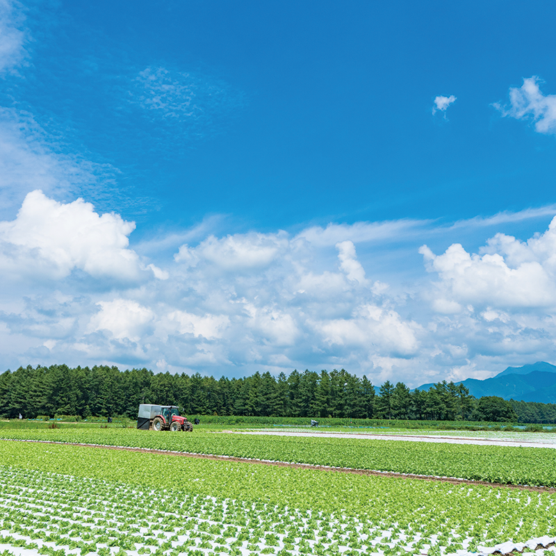 田園風景